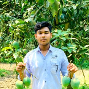 হিমসাগর 10 kg সারাদেশে হোম ডেলিভারি